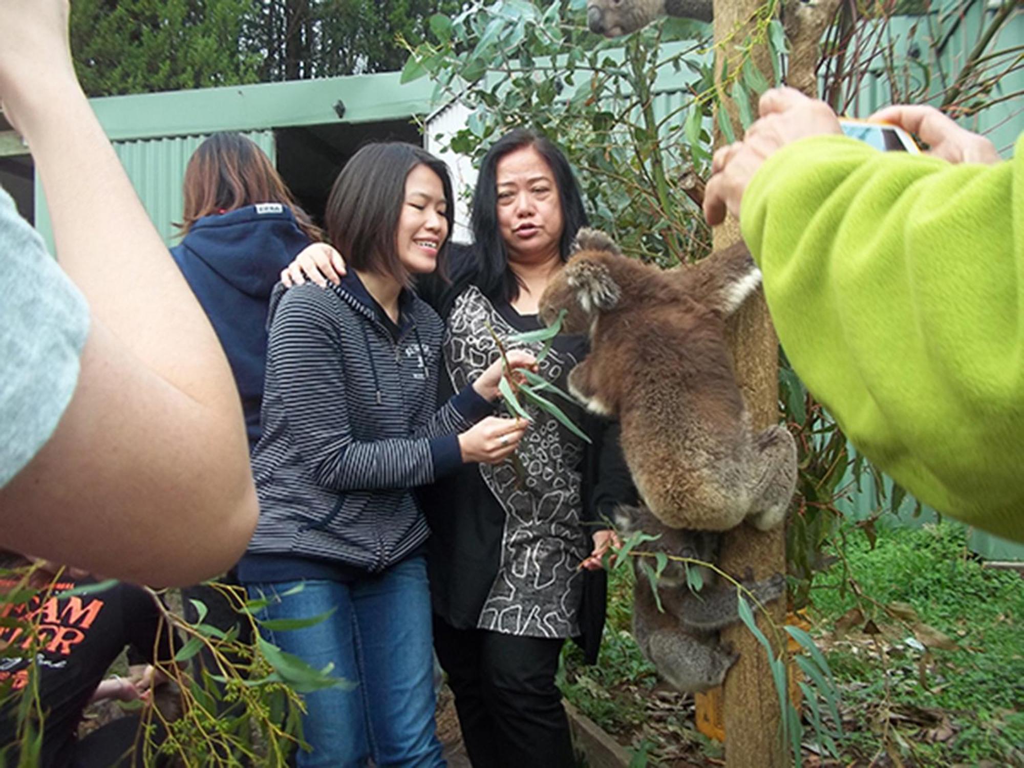 Fauna Australia Wildlife Retreat Lavers Hill Экстерьер фото