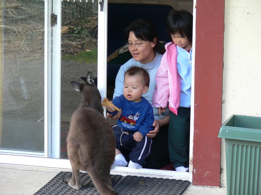 Fauna Australia Wildlife Retreat Lavers Hill Экстерьер фото