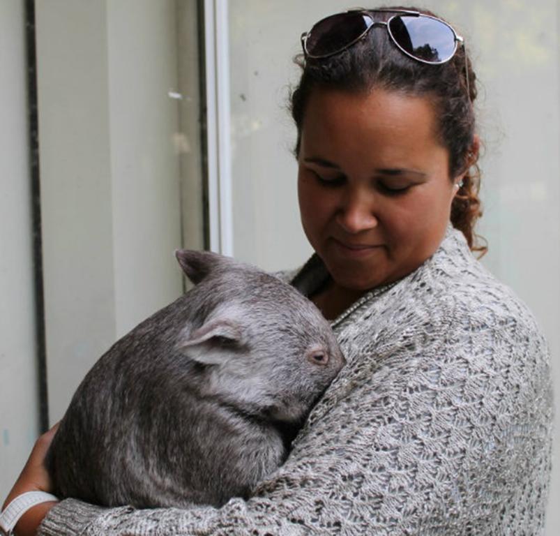Fauna Australia Wildlife Retreat Lavers Hill Экстерьер фото