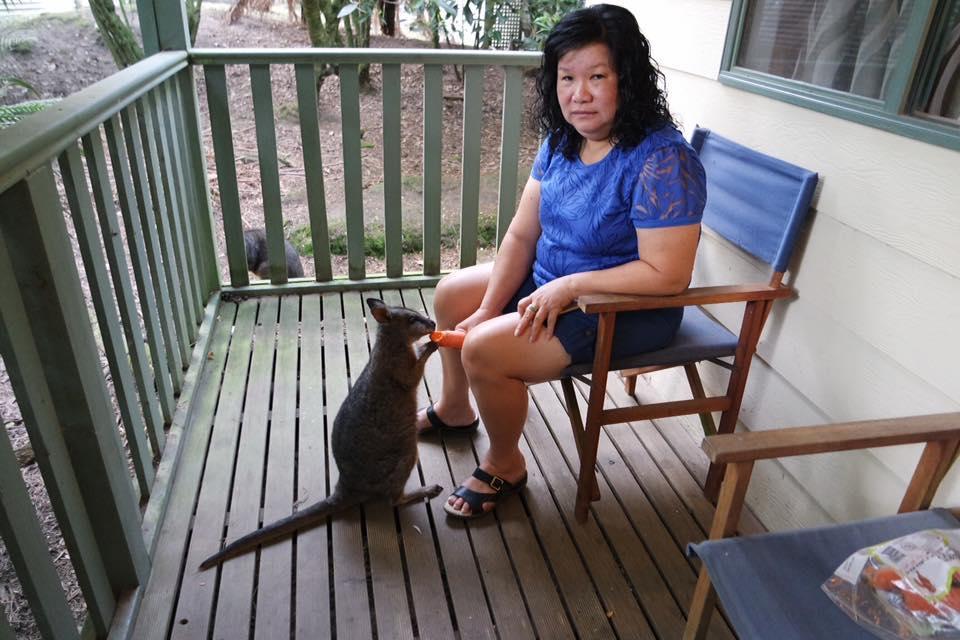Fauna Australia Wildlife Retreat Lavers Hill Экстерьер фото