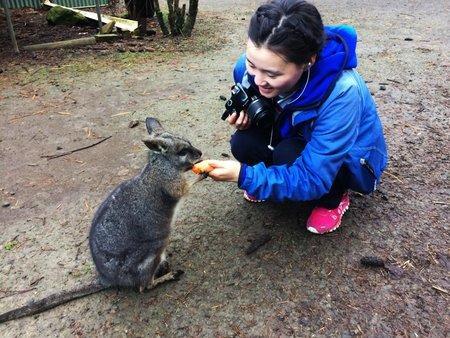 Fauna Australia Wildlife Retreat Lavers Hill Экстерьер фото