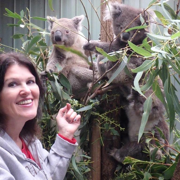 Fauna Australia Wildlife Retreat Lavers Hill Экстерьер фото