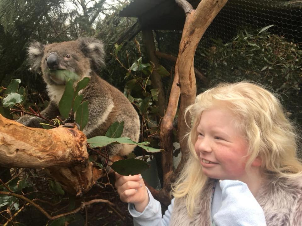 Fauna Australia Wildlife Retreat Lavers Hill Экстерьер фото